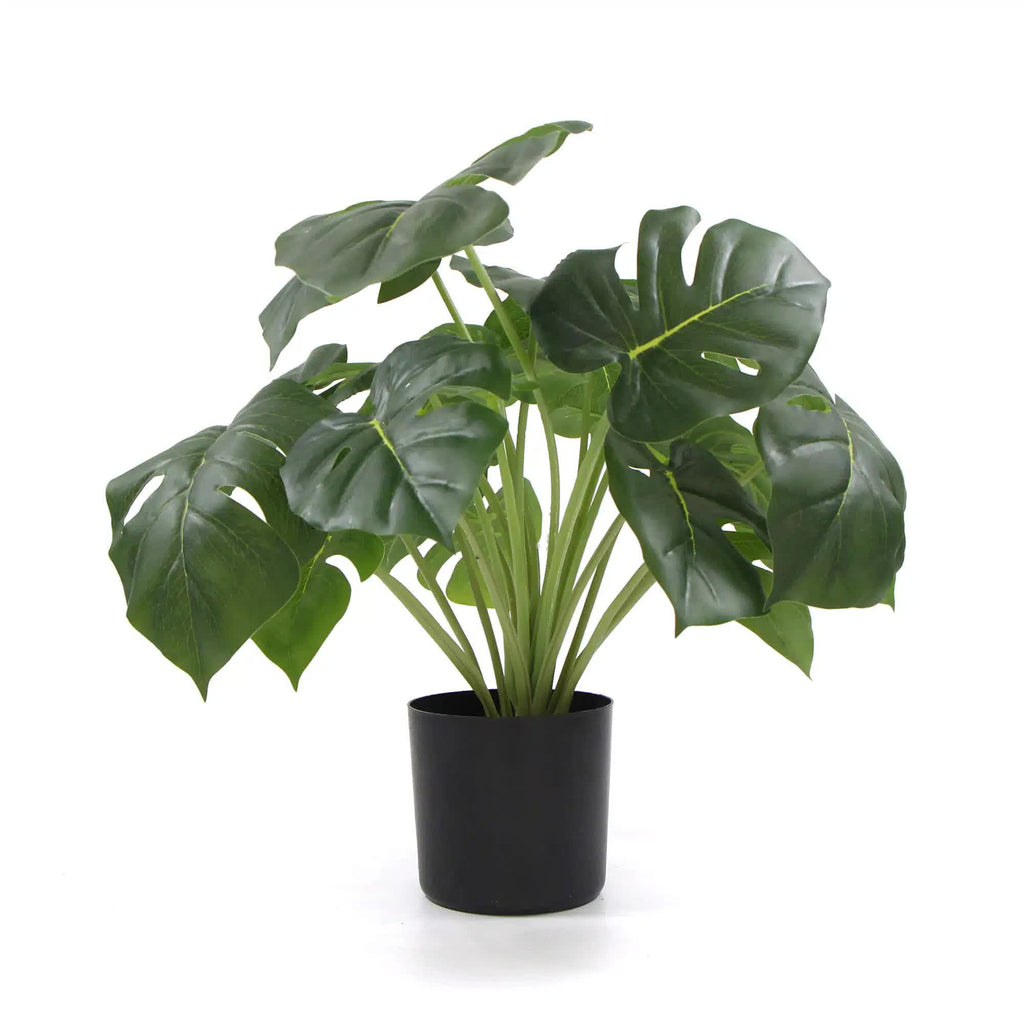 Dense Potted Artificial Monstera Deliciosa Plant With Real Touch Leaves 50cm